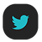 twitter-x